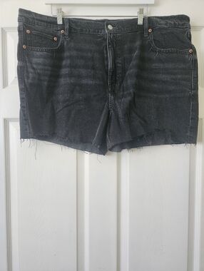 NWT American Eagle Washed Black Frayed Hem Women's Denim Shorts- 20